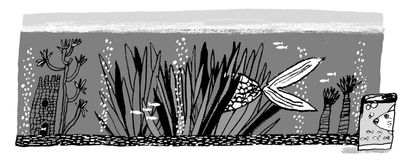 Illustration of a shy fish hiding in a large fish tank.